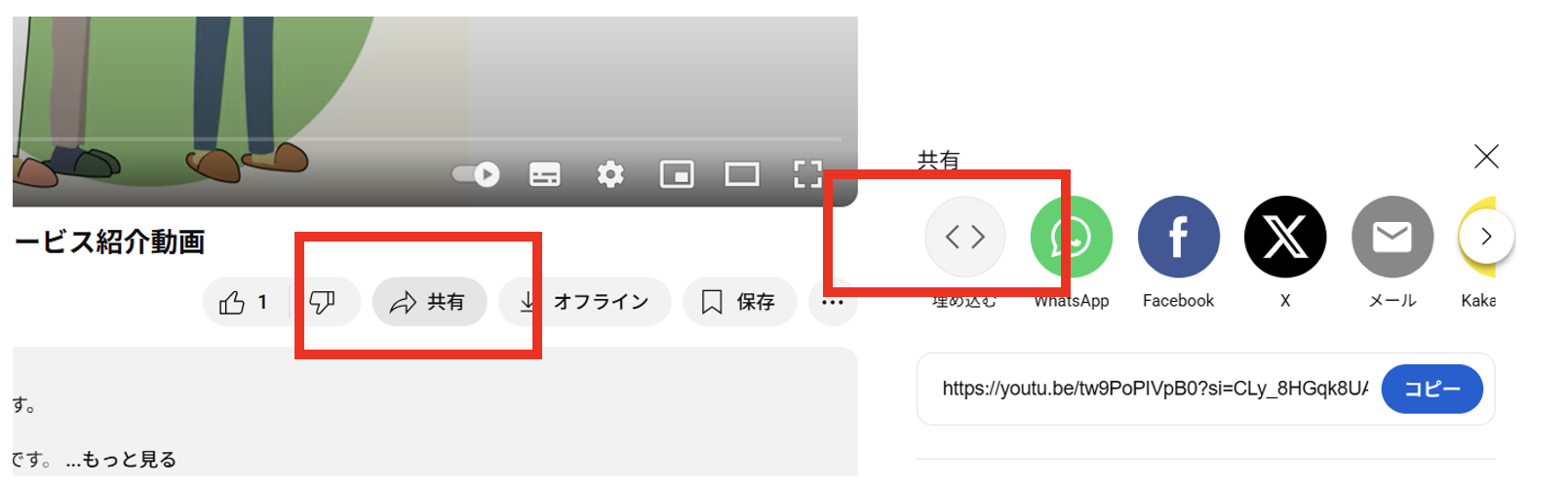 image_2025_8_19 (4).png