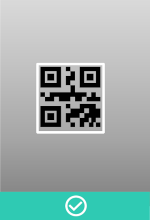 auth_ok_tablet_qr.png