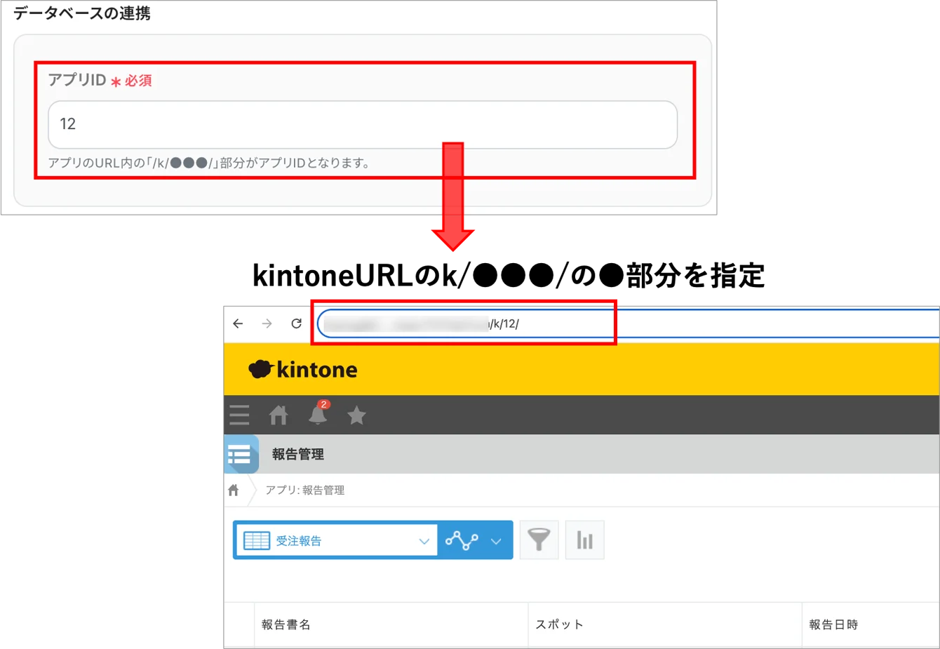【cyzen→kintone】報告書18.png