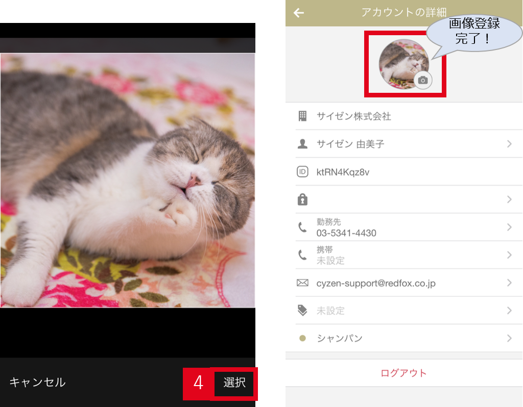 顔写真3.png