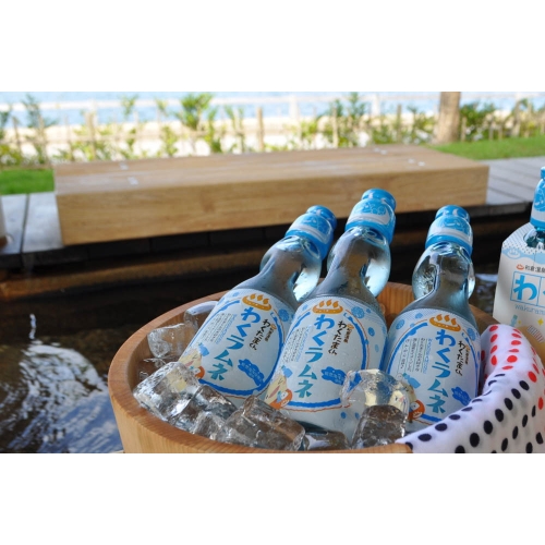 03212214_67dd664d4adff (1).jpg