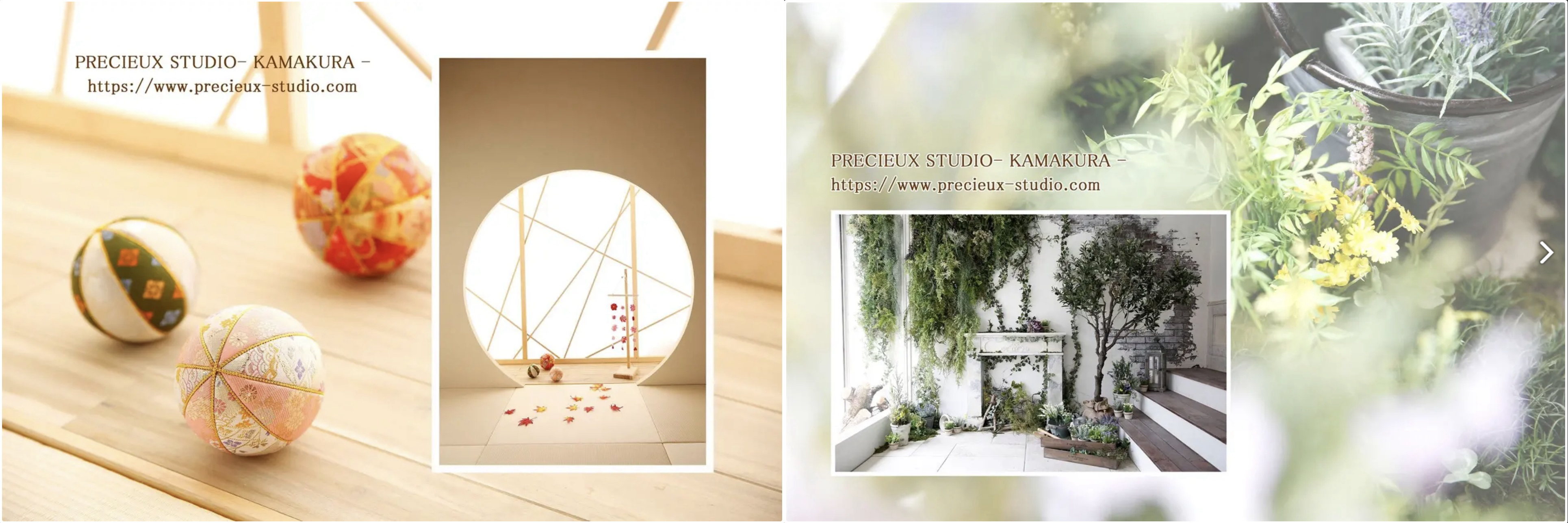 precieux studio combined2.png