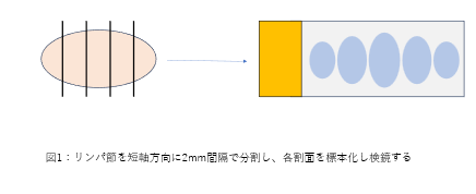 画像1.png