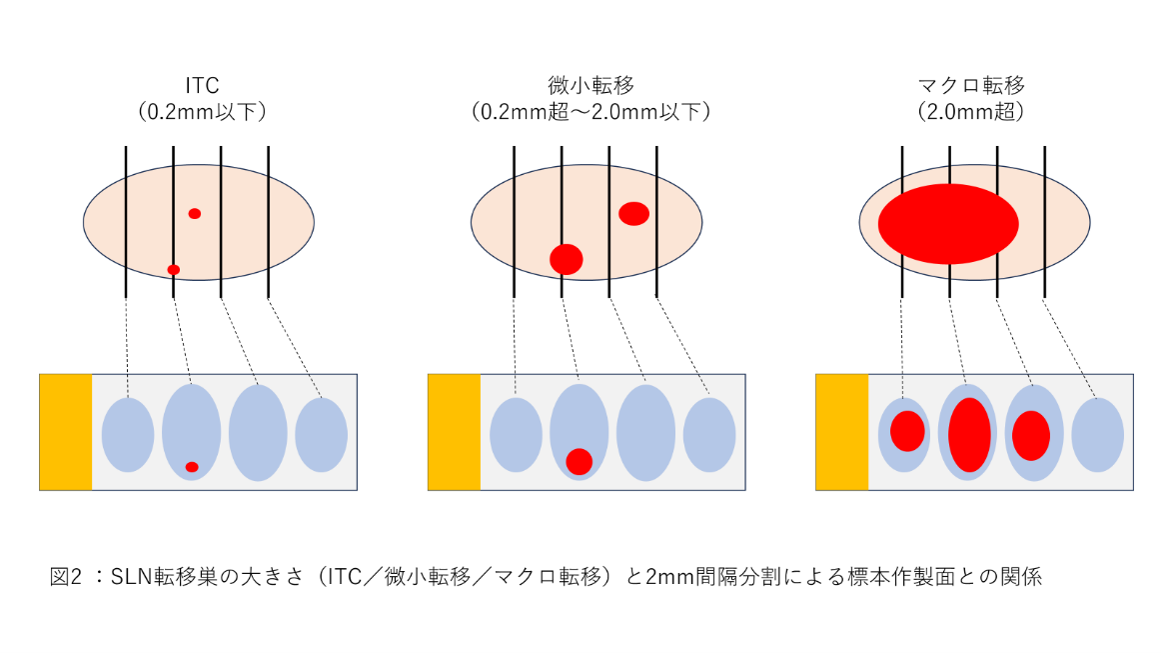 画像2.png