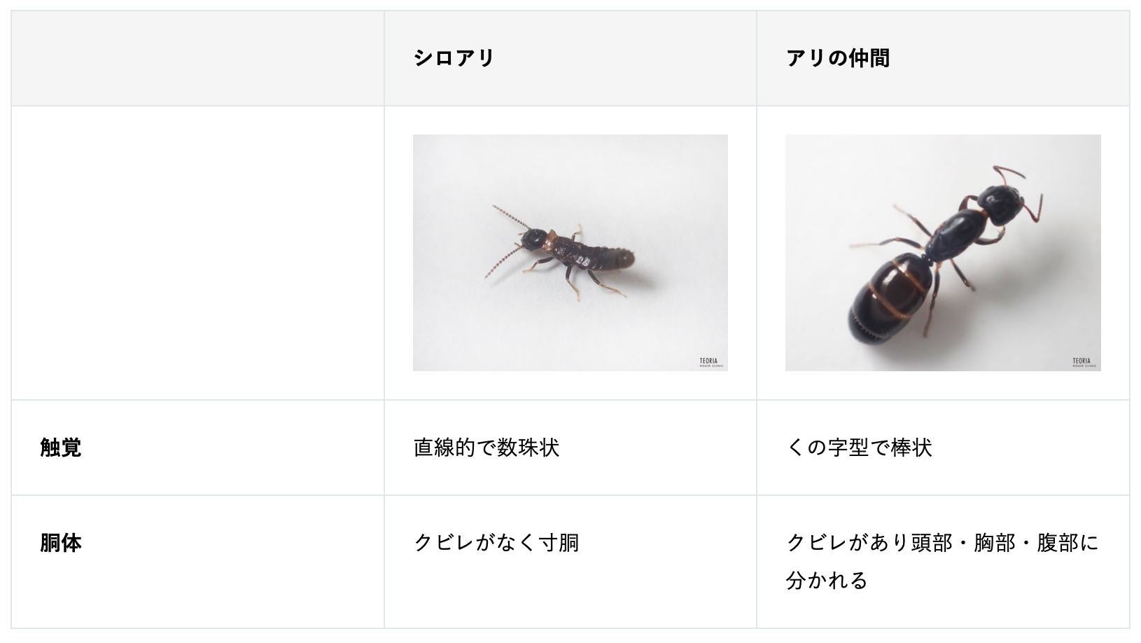 スクリーンショット 2022-12-04 10.17.48.png