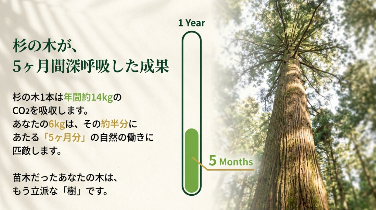 スクリーンショット 2026-01-19 9.32.35.png