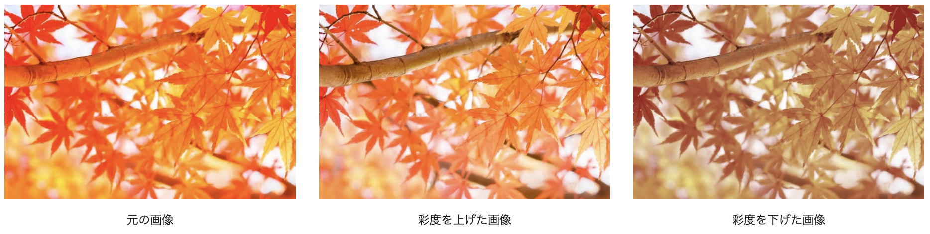 スクリーンショット 2026-05-28 13.28.43.png