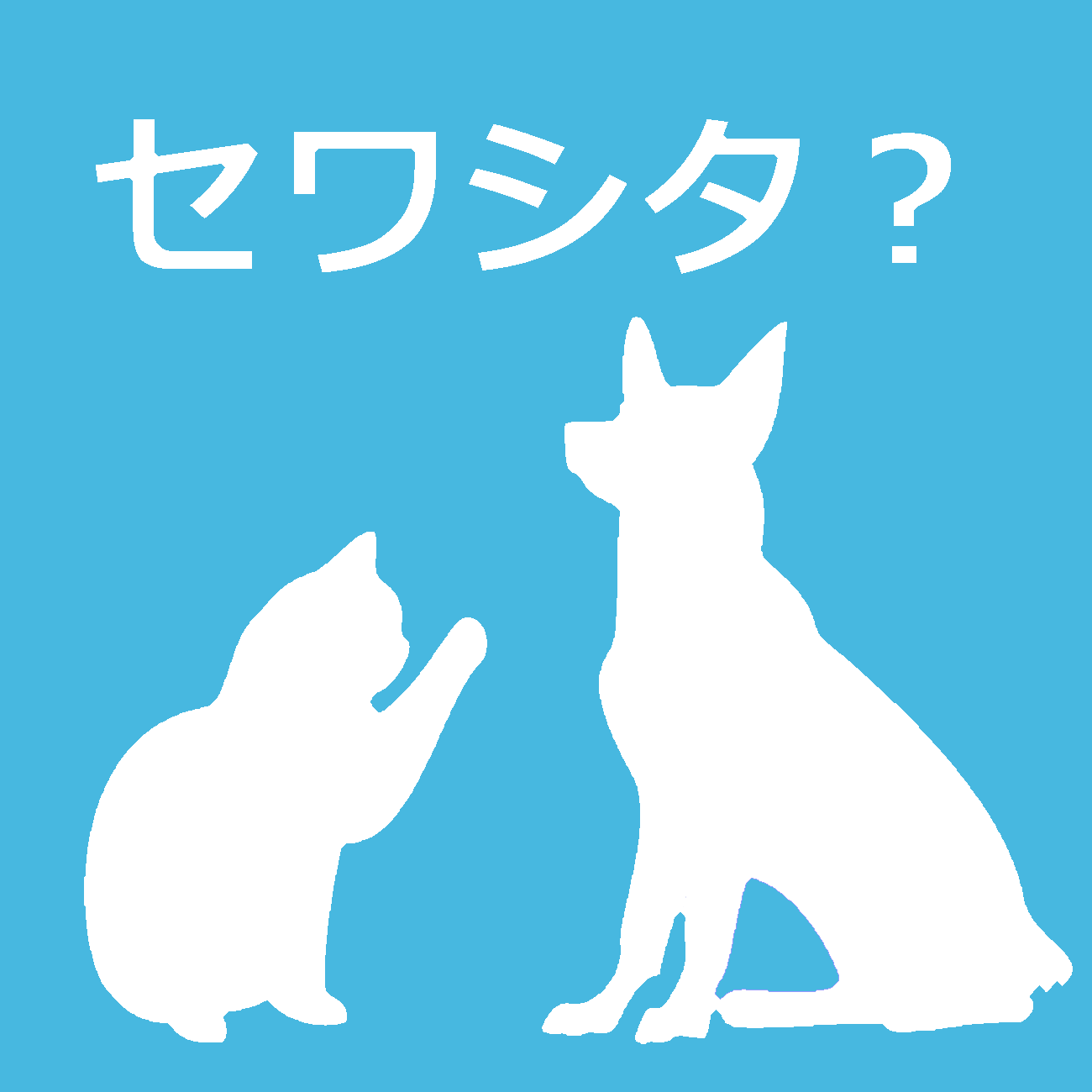 セワシタ？　FAQ